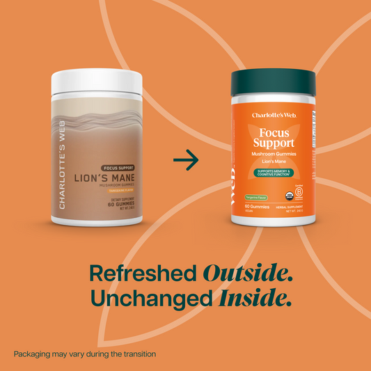 Two jars of Focus Support Mushroom gummies on an orange background that says 'Refreshed Outside. Unchanged Insides.'