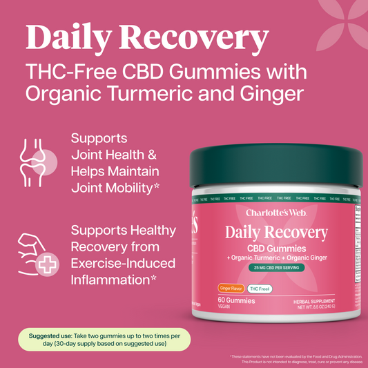 Charlotte's Web Daily Recovery CBD Gummies jar on a pink promotional background with text highlighting THC-free gummies, organic turmeric and ginger, joint health support, and recovery benefits.