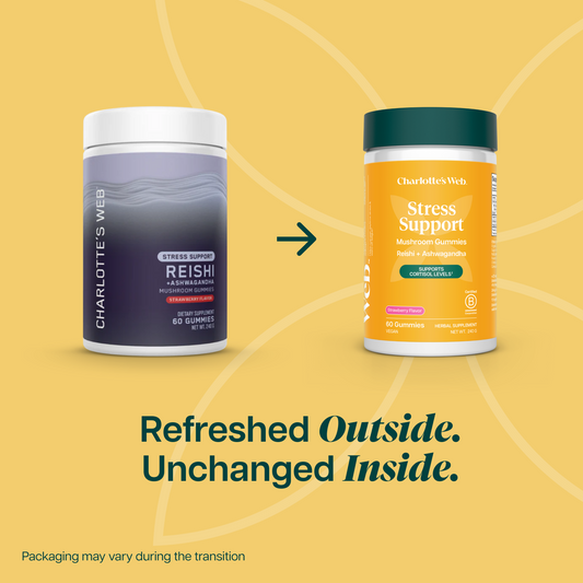 Two jars of Stress Support Mushroom Gummies on a yellow background with the saying 'Refreshed Outside. Unchanged Inside.'
