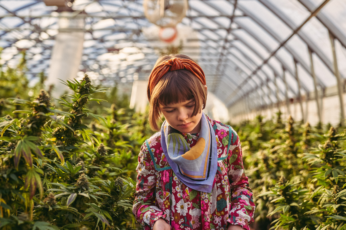Person in a colorful jacket and headscarf standing among cannabis plants in a greenhouse.